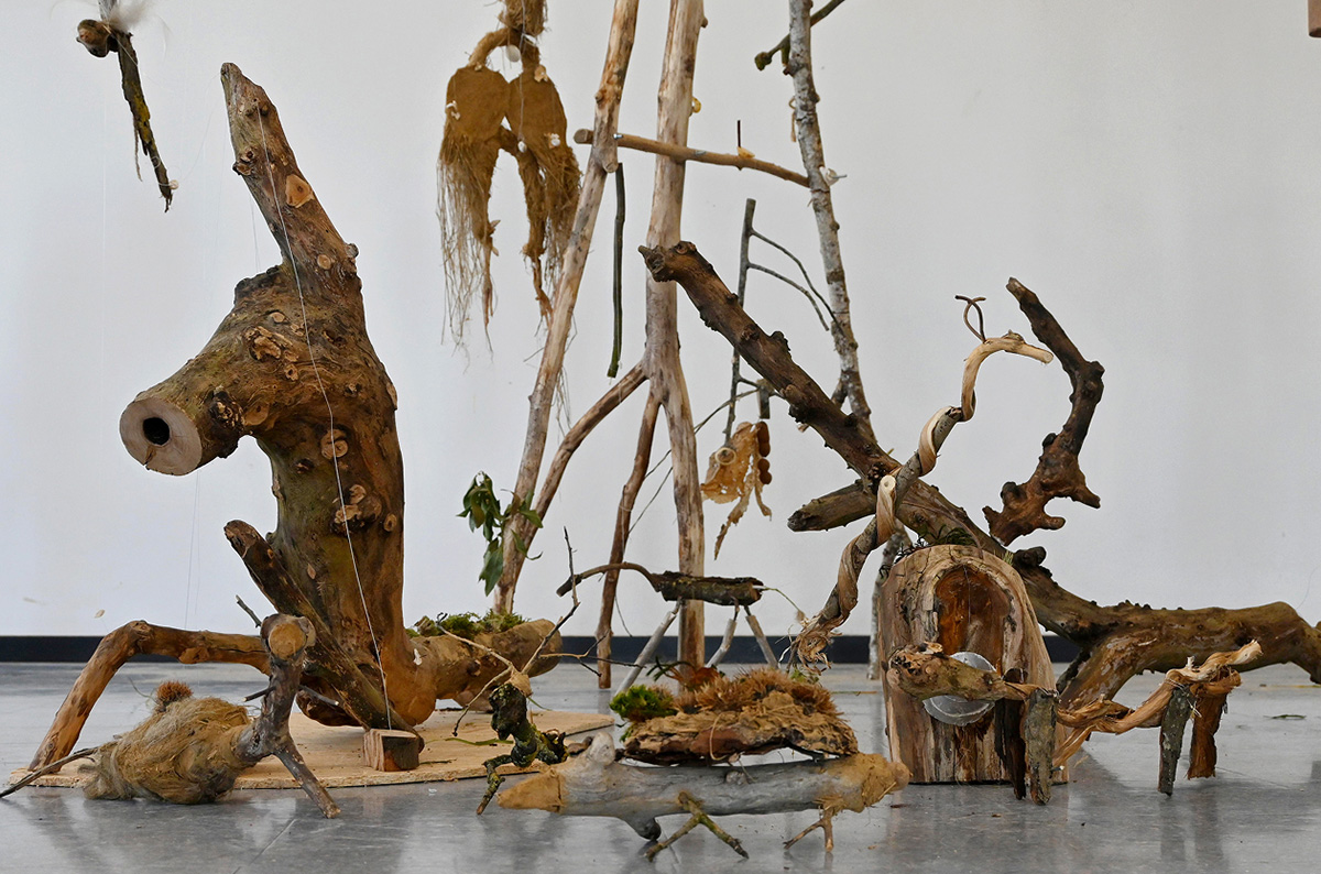 Anatomie d’une écorce